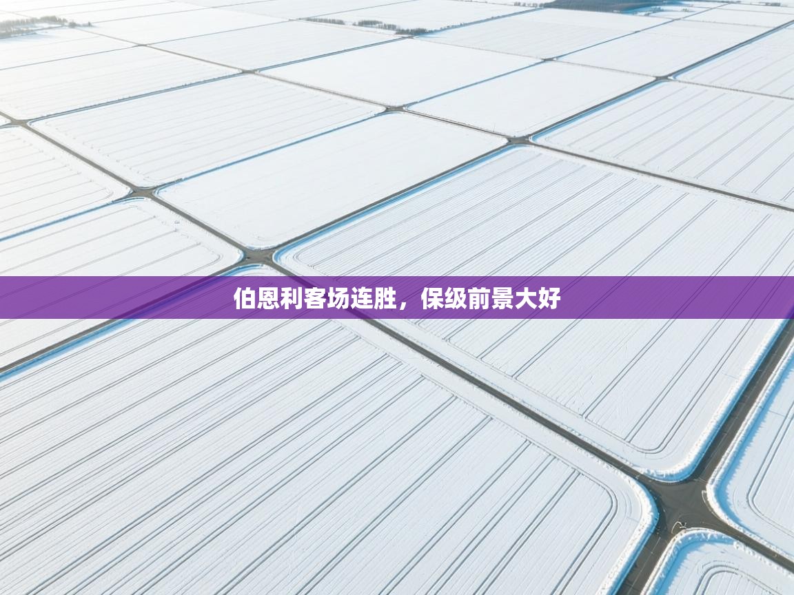 伯恩利客场连胜，保级前景大好  第1张